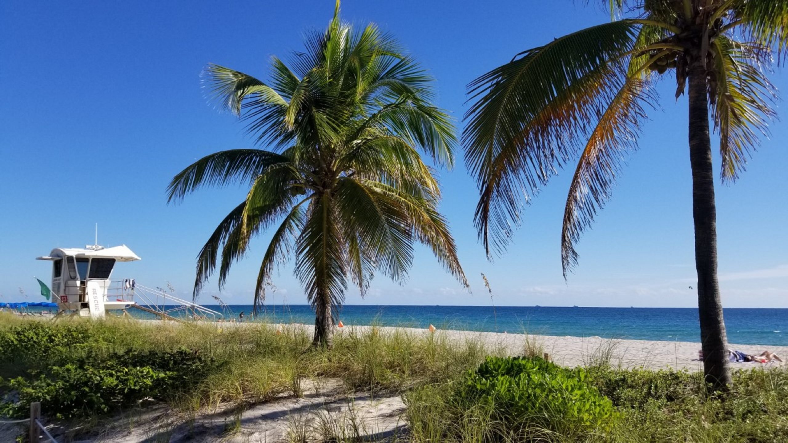 Ocean, Beach, View, Condo, Home, Real Estate, Fort Lauderdale, Florida, Top Agent, Realtor, Real Estate Agent, Waterfront, Pets allowed, Daniela Melaniti